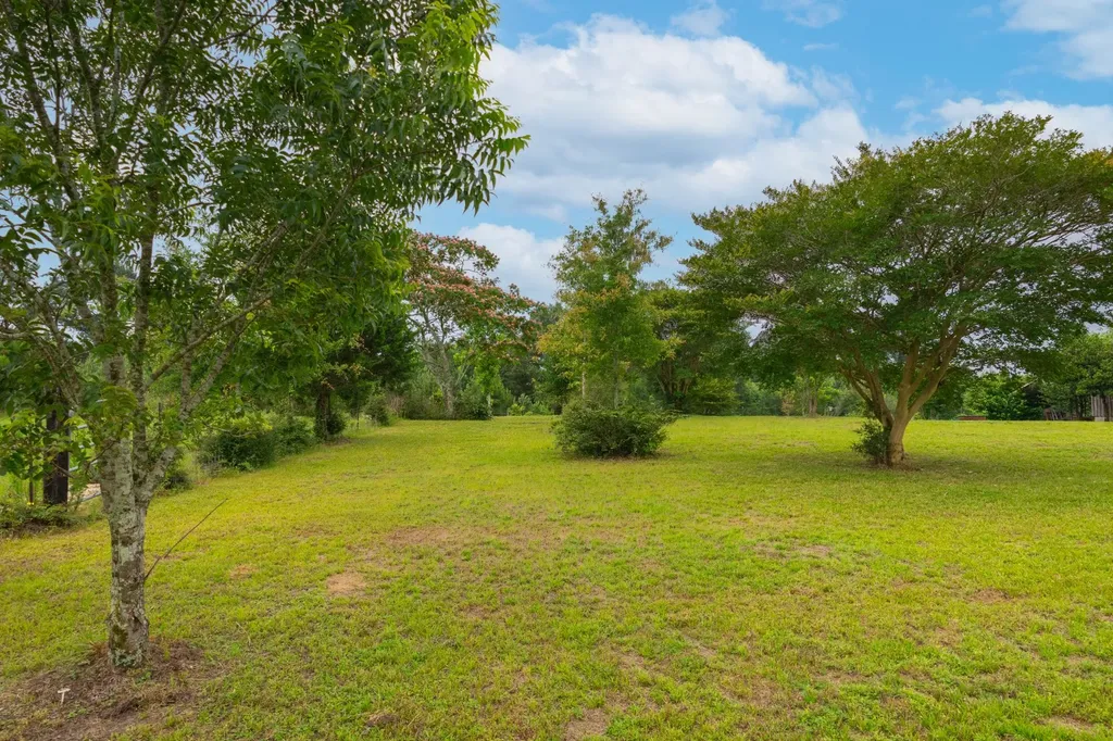 26541 Old Boggy Road Opp AL 36467
