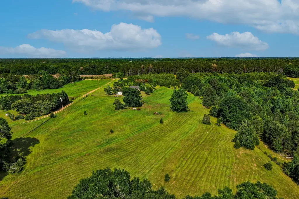 26541 Old Boggy Road Opp AL 36467