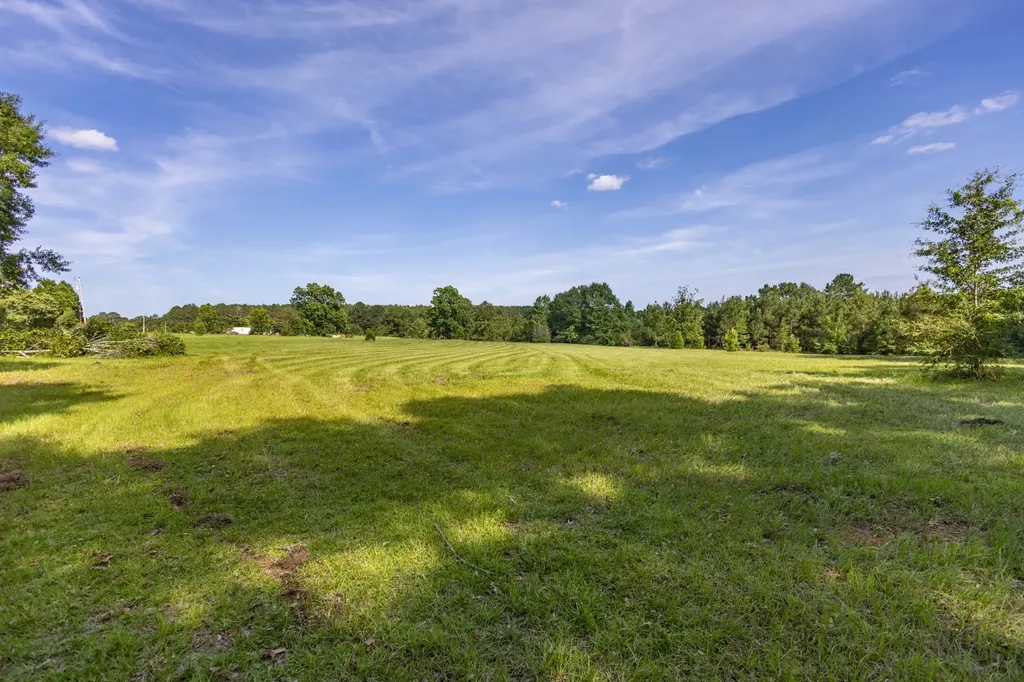 26541 Old Boggy Road Opp AL 36467