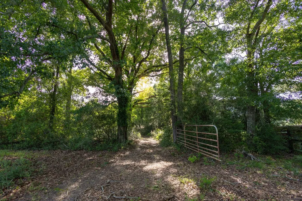 26541 Old Boggy Road Opp AL 36467
