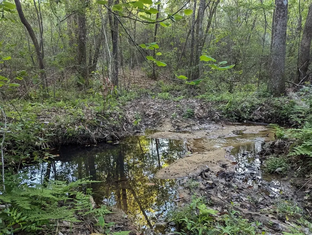 26541 Old Boggy Road Opp AL 36467