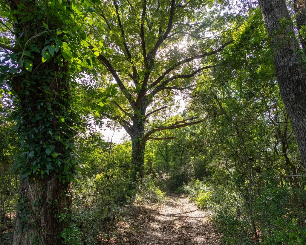26541 Old Boggy Road Opp AL 36467