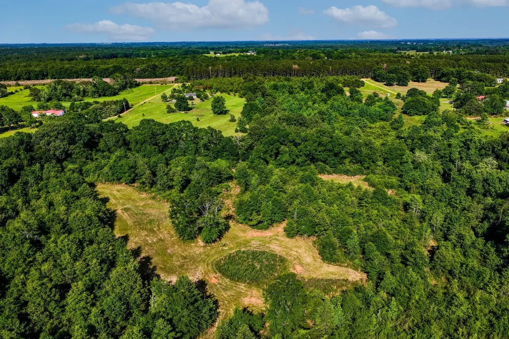 26541 Old Boggy Road Opp AL 36467