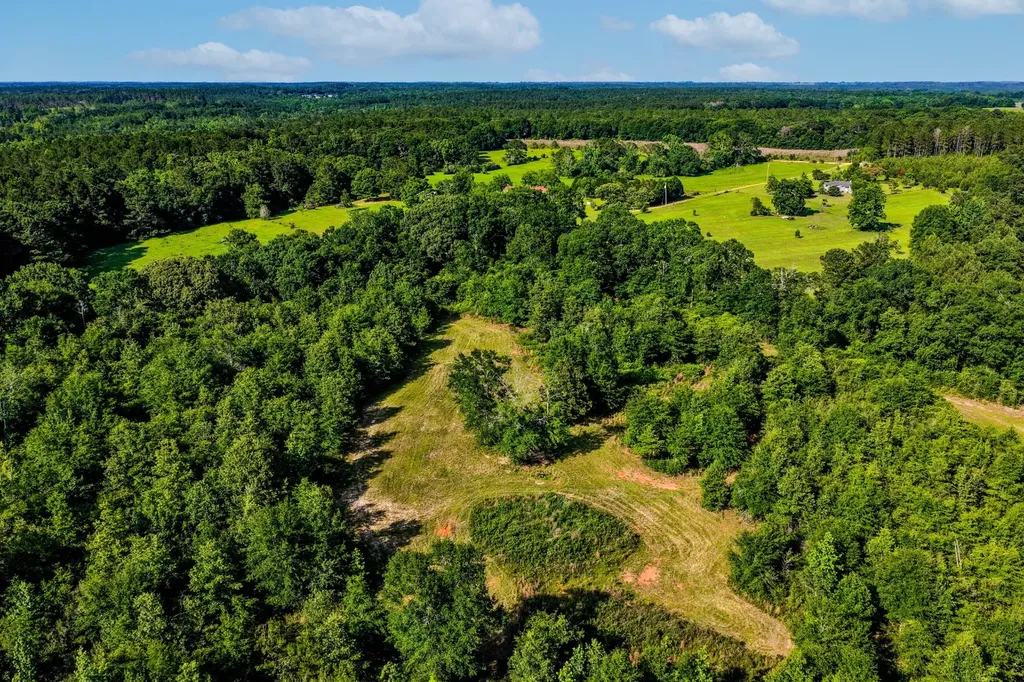 26541 Old Boggy Road Opp AL 36467