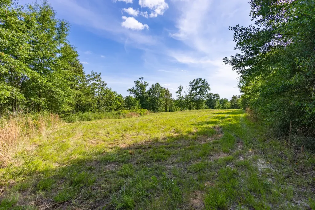 26541 Old Boggy Road Opp AL 36467