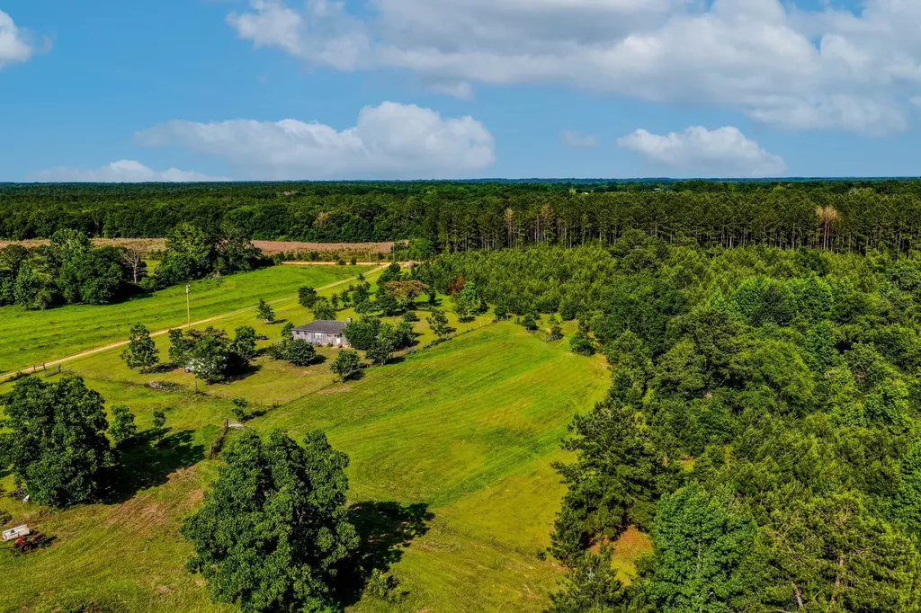 26541 Old Boggy Road Opp AL 36467