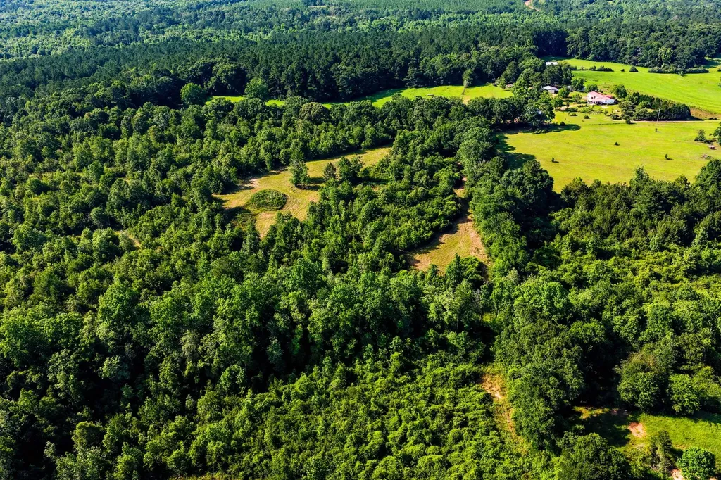 26541 Old Boggy Road Opp AL 36467
