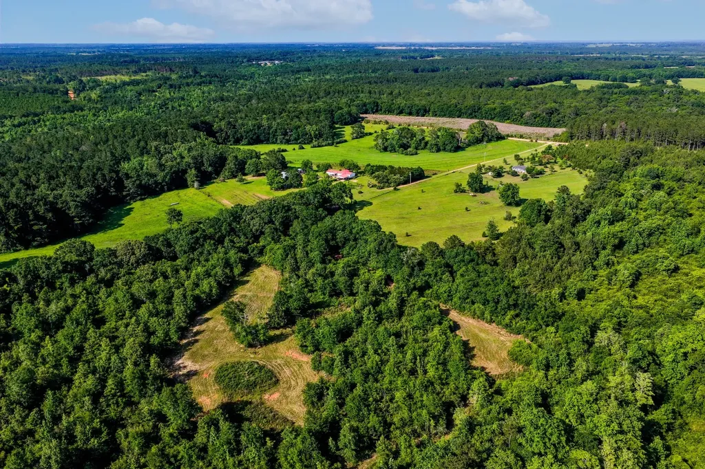 26541 Old Boggy Road Opp AL 36467