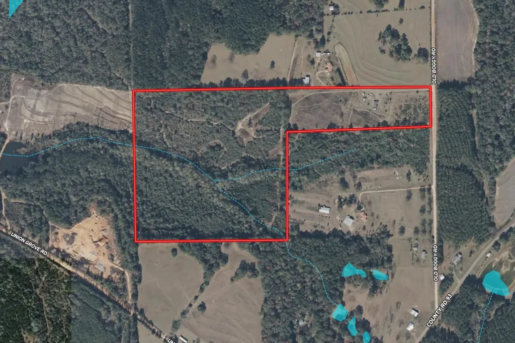 26541 Old Boggy Road Opp AL 36467