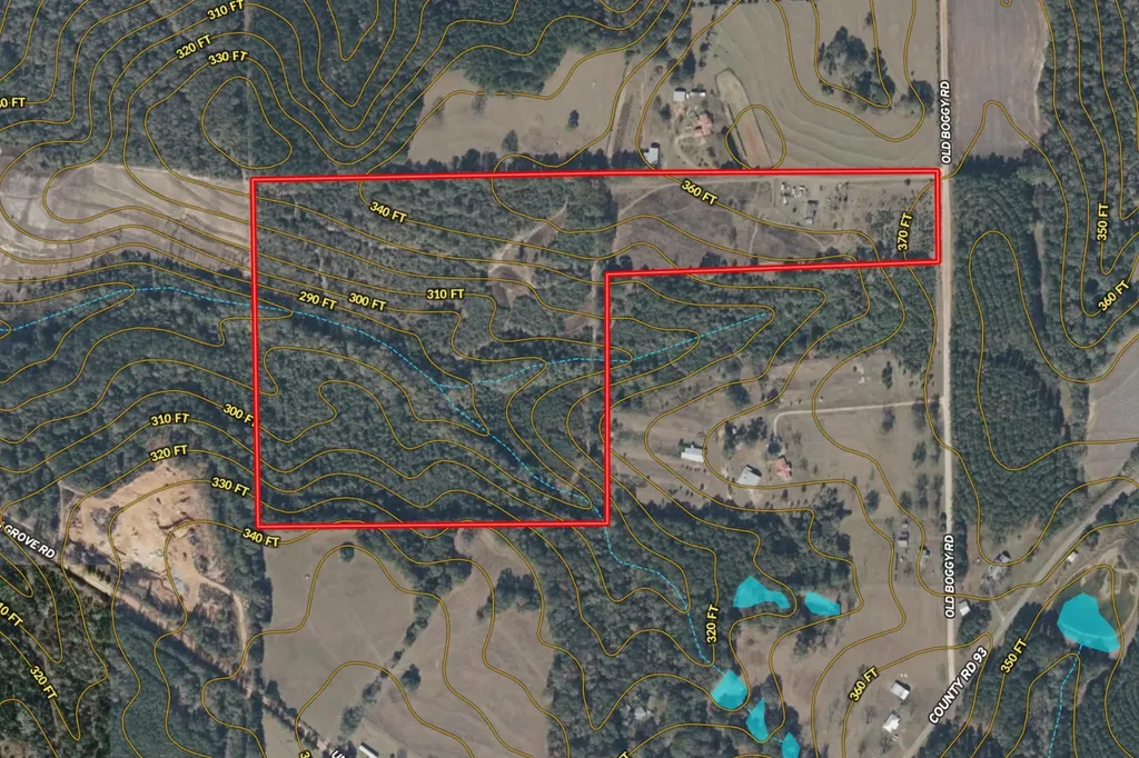 26541 Old Boggy Road Opp AL 36467