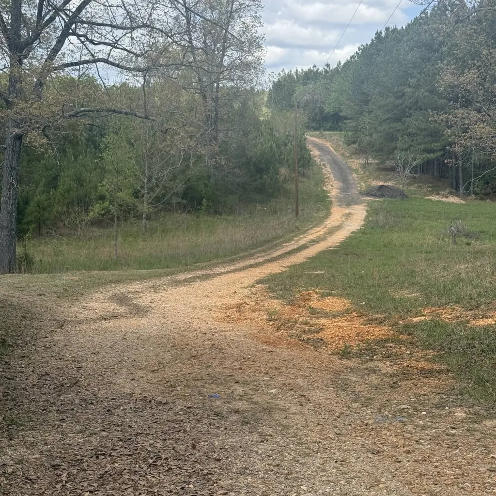 126 Lone Star Lane West Blocton AL 35184