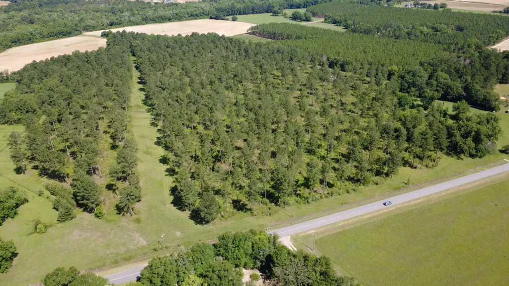 Ashford AL, S County Road 33