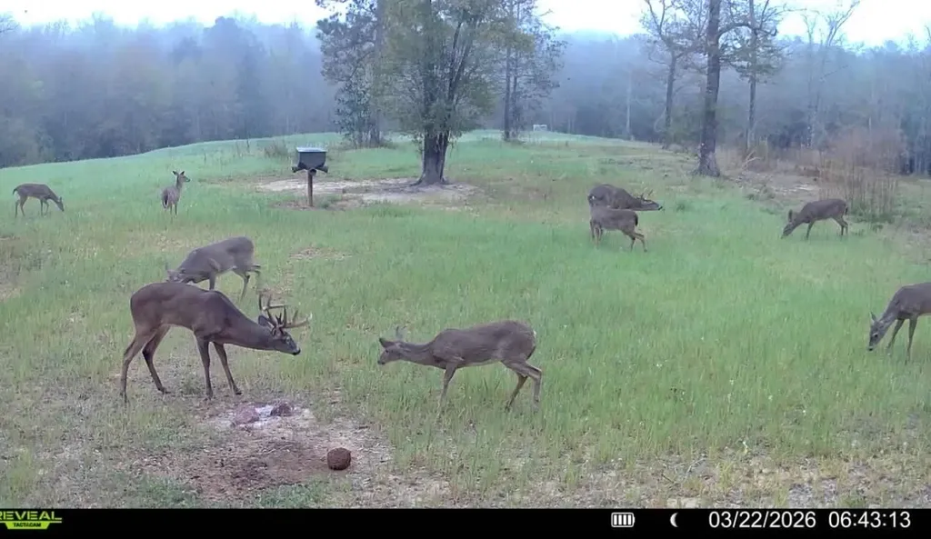 1 Corbin Road Newton AL 36352