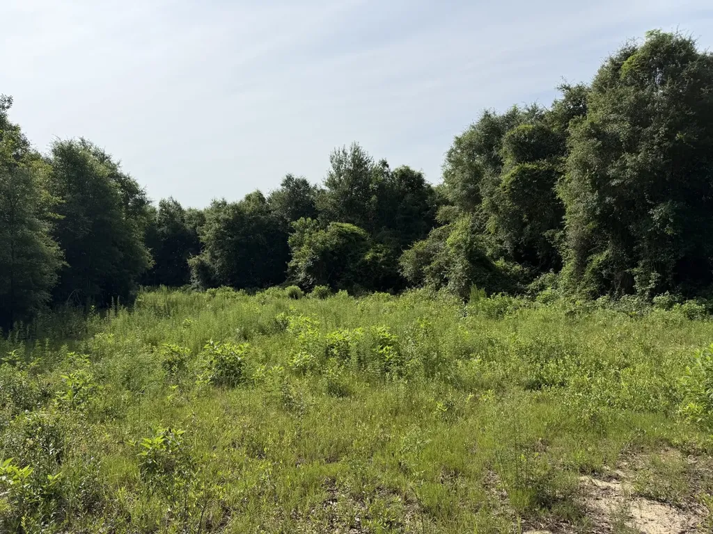 1 Corbin Road Newton AL 36352
