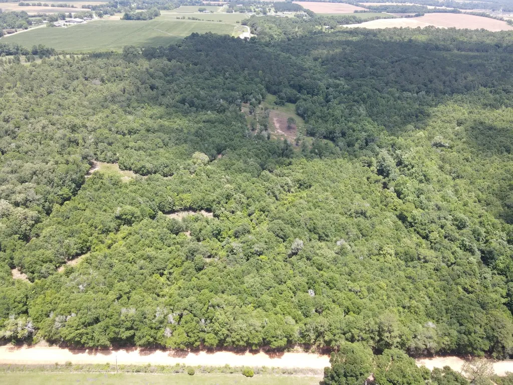 1 Corbin Road Newton AL 36352