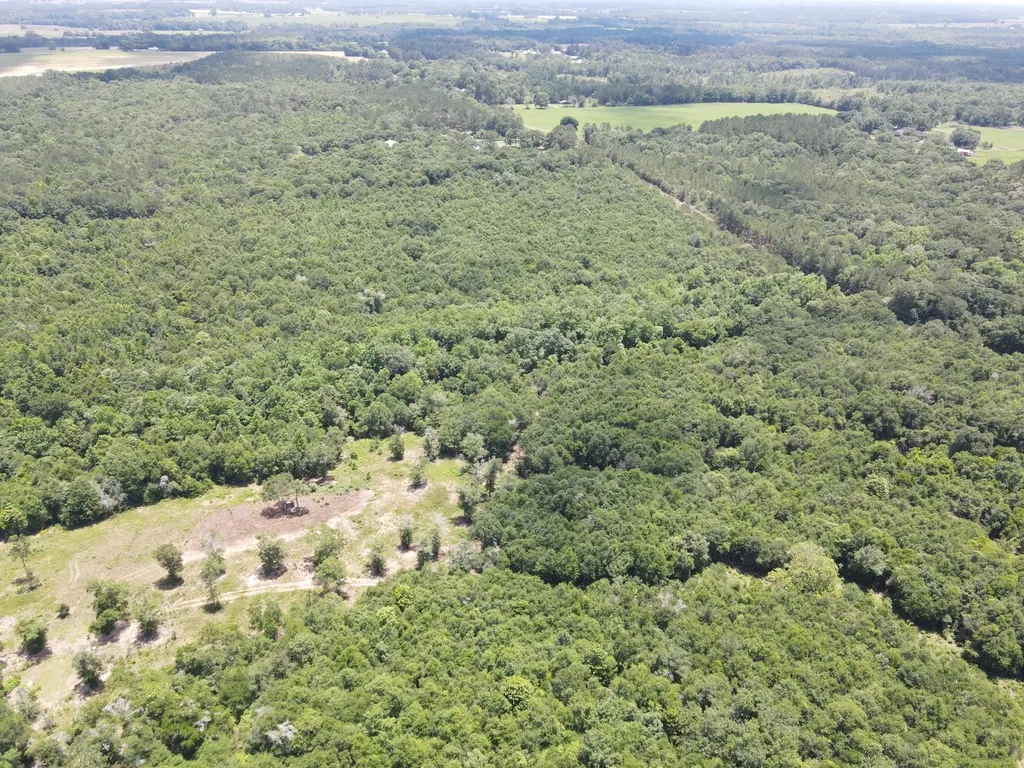 1 Corbin Road Newton AL 36352