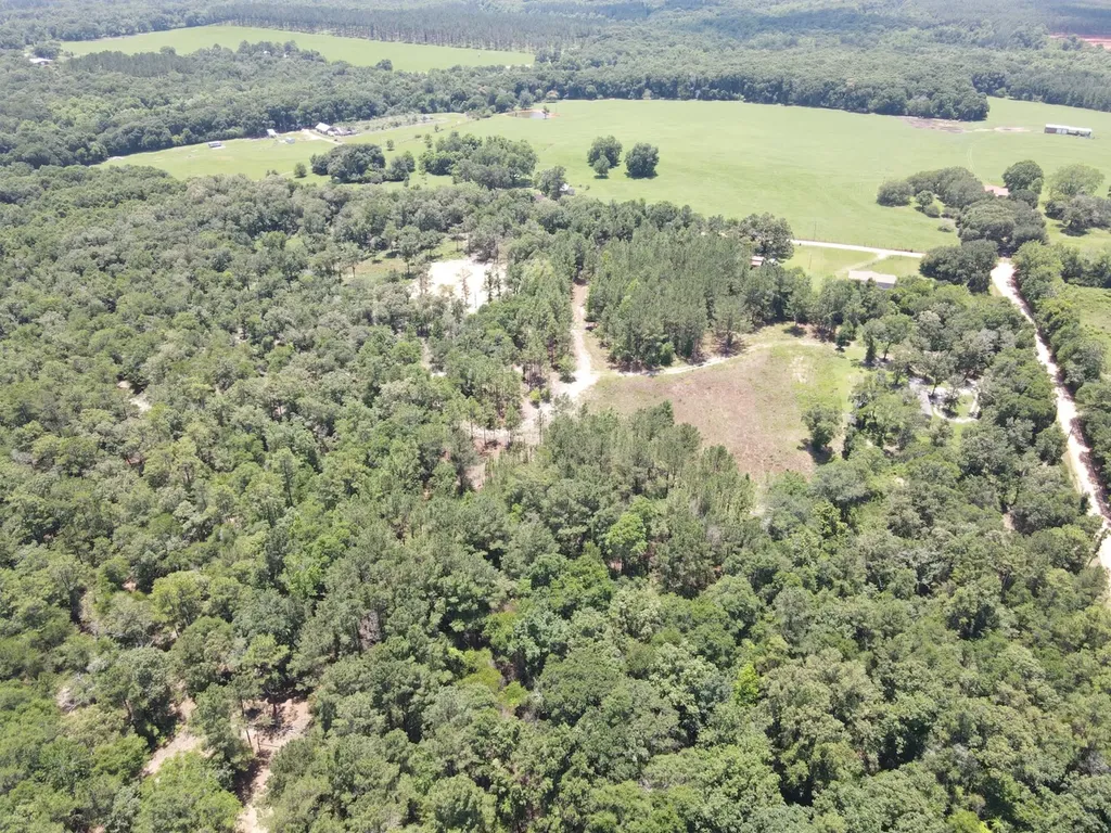 1 Corbin Road Newton AL 36352