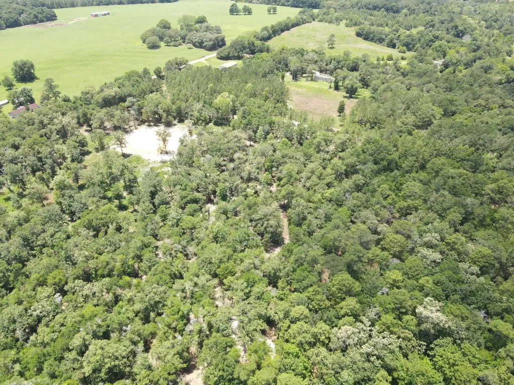 1 Corbin Road Newton AL 36352