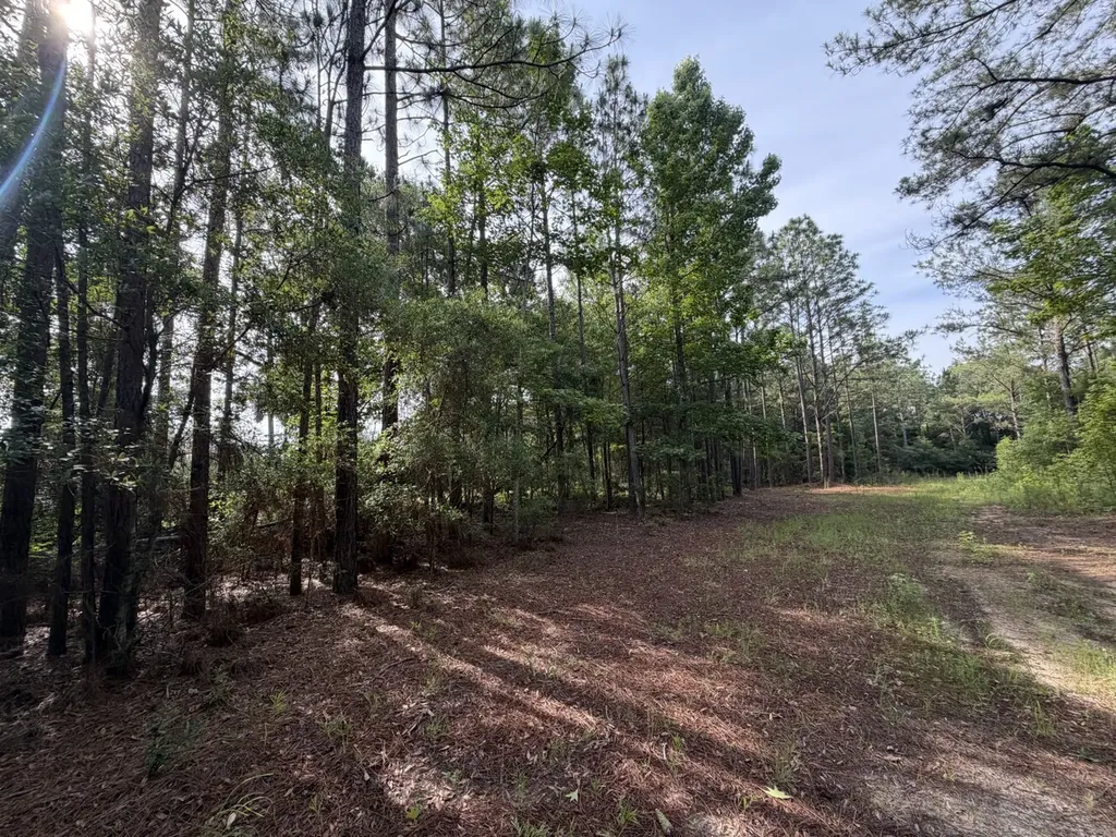 1 Corbin Road Newton AL 36352