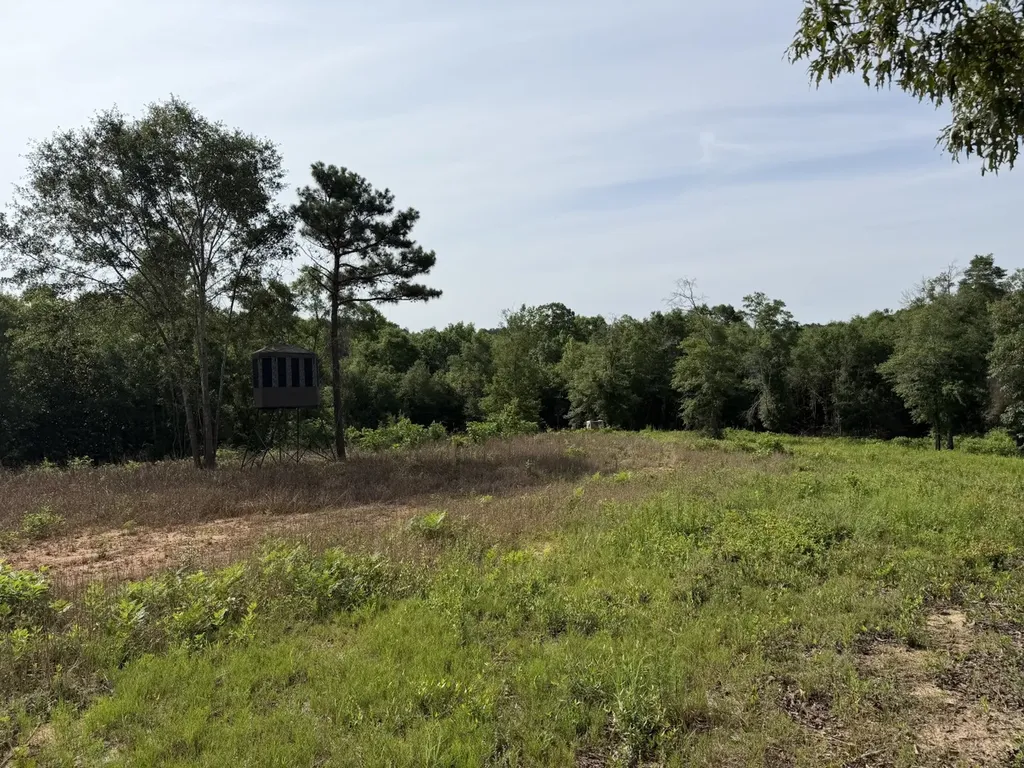1 Corbin Road Newton AL 36352
