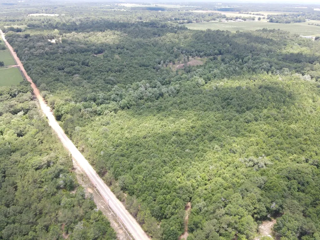 1 Corbin Road Newton AL 36352