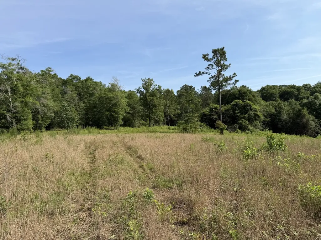 1 Corbin Road Newton AL 36352
