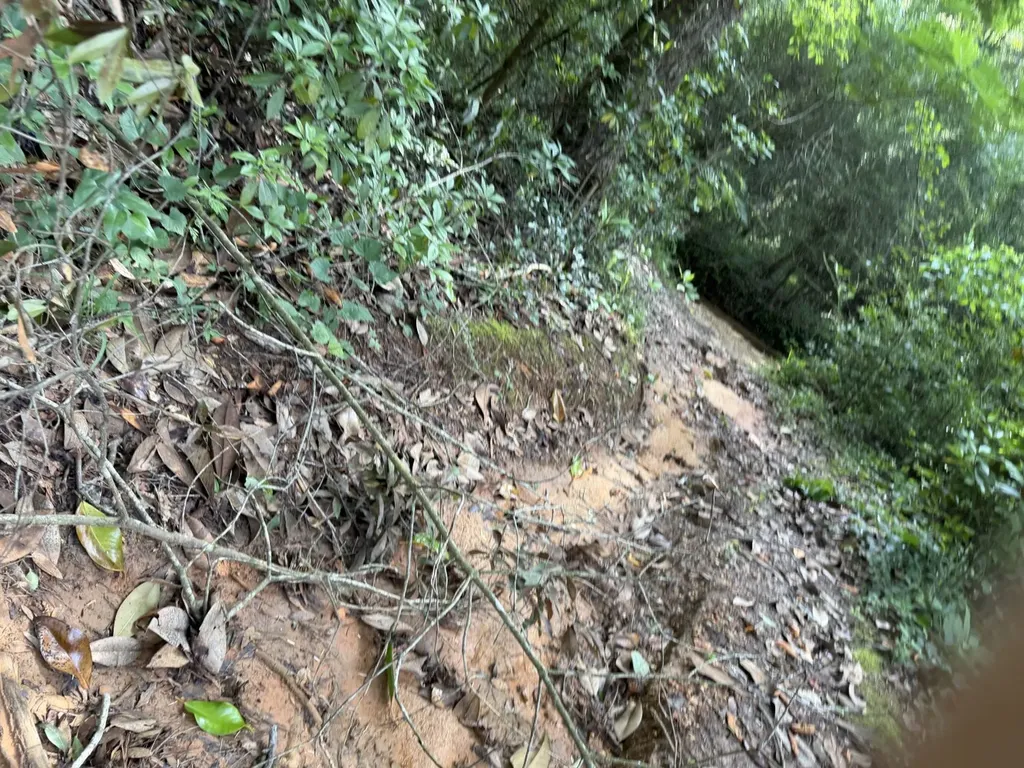 1 Corbin Road Newton AL 36352