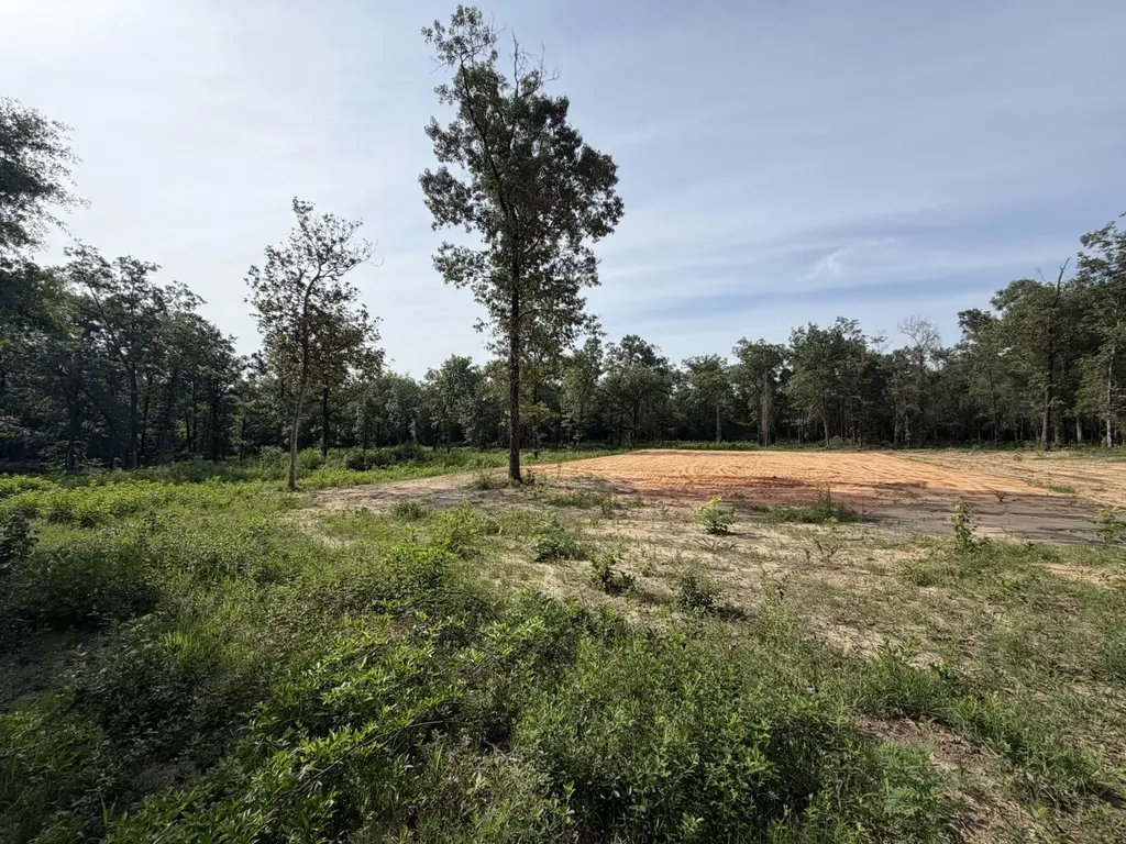 0 Corbin Road Newton AL 36352