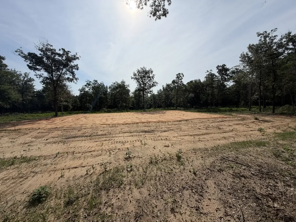 0 Corbin Road Newton AL 36352