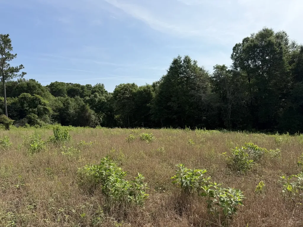 0 Corbin Road Newton AL 36352