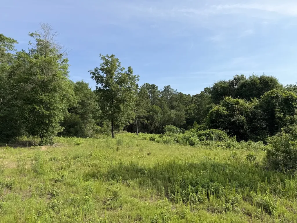 0 Corbin Road Newton AL 36352