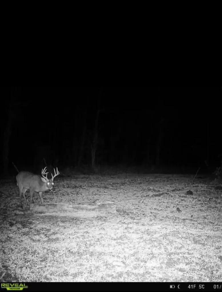 0 Corbin Road Newton AL 36352