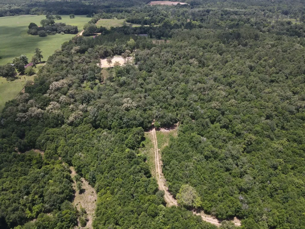 0 Corbin Road Newton AL 36352