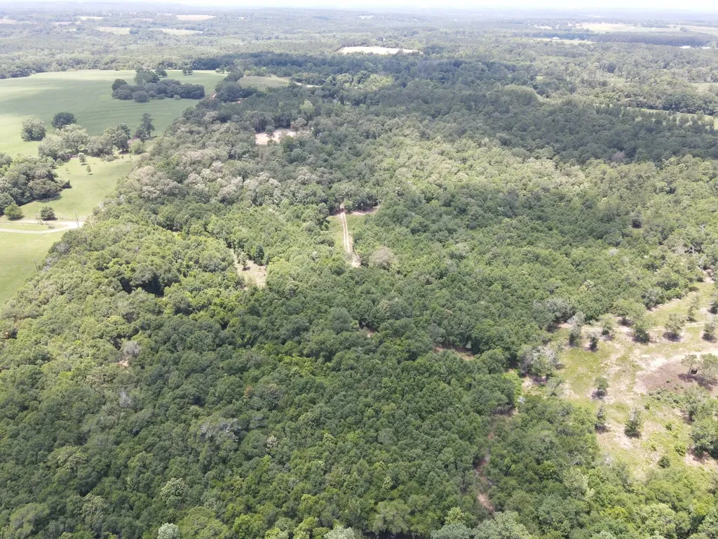 0 Corbin Road Newton AL 36352