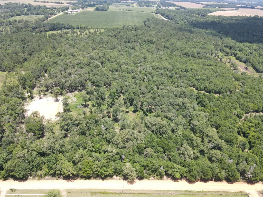 0 Corbin Road Newton AL 36352
