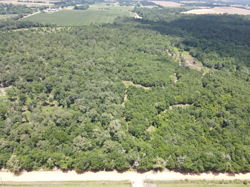 0 Corbin Road Newton AL 36352