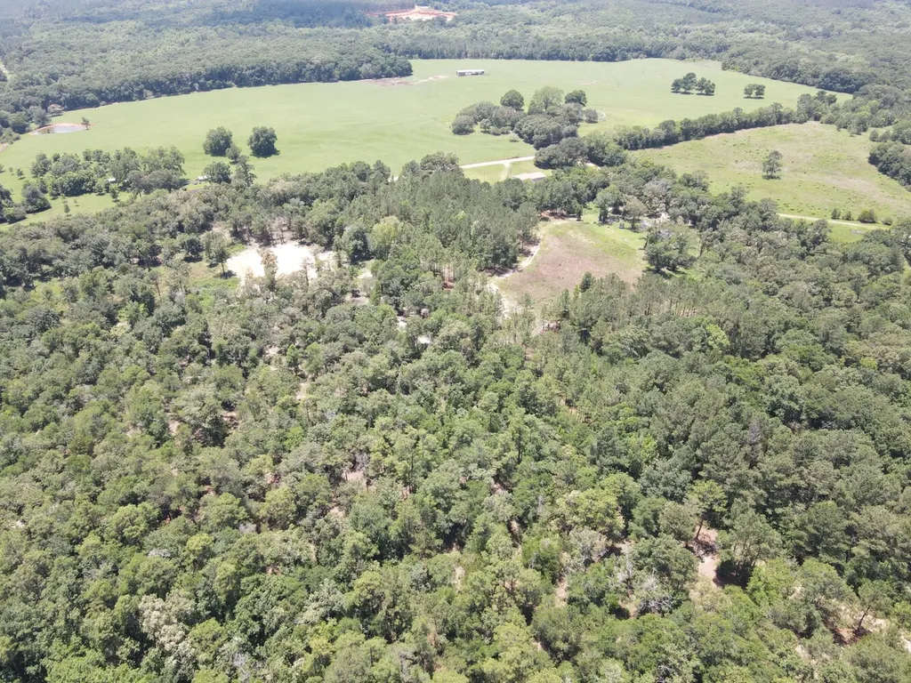 0 Corbin Road Newton AL 36352