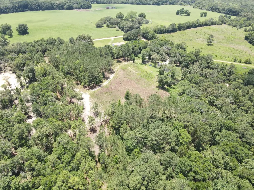 0 Corbin Road Newton AL 36352