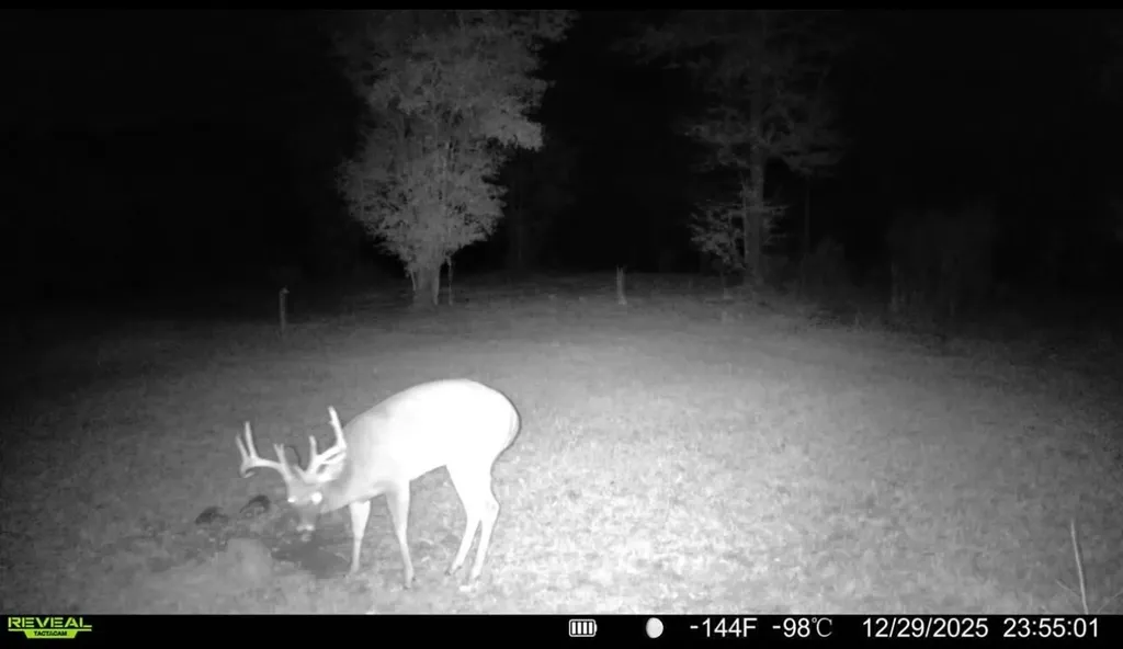 0 Corbin Road Newton AL 36352