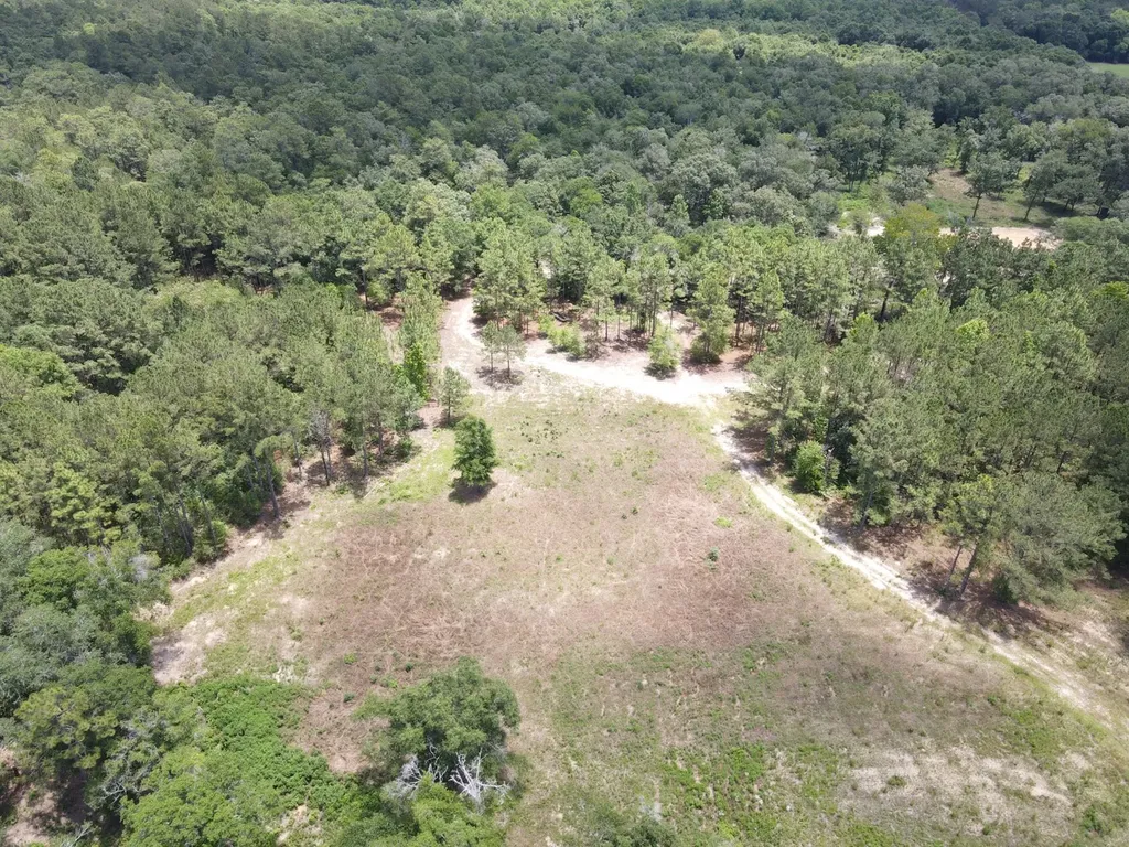 0 Corbin Road Newton AL 36352