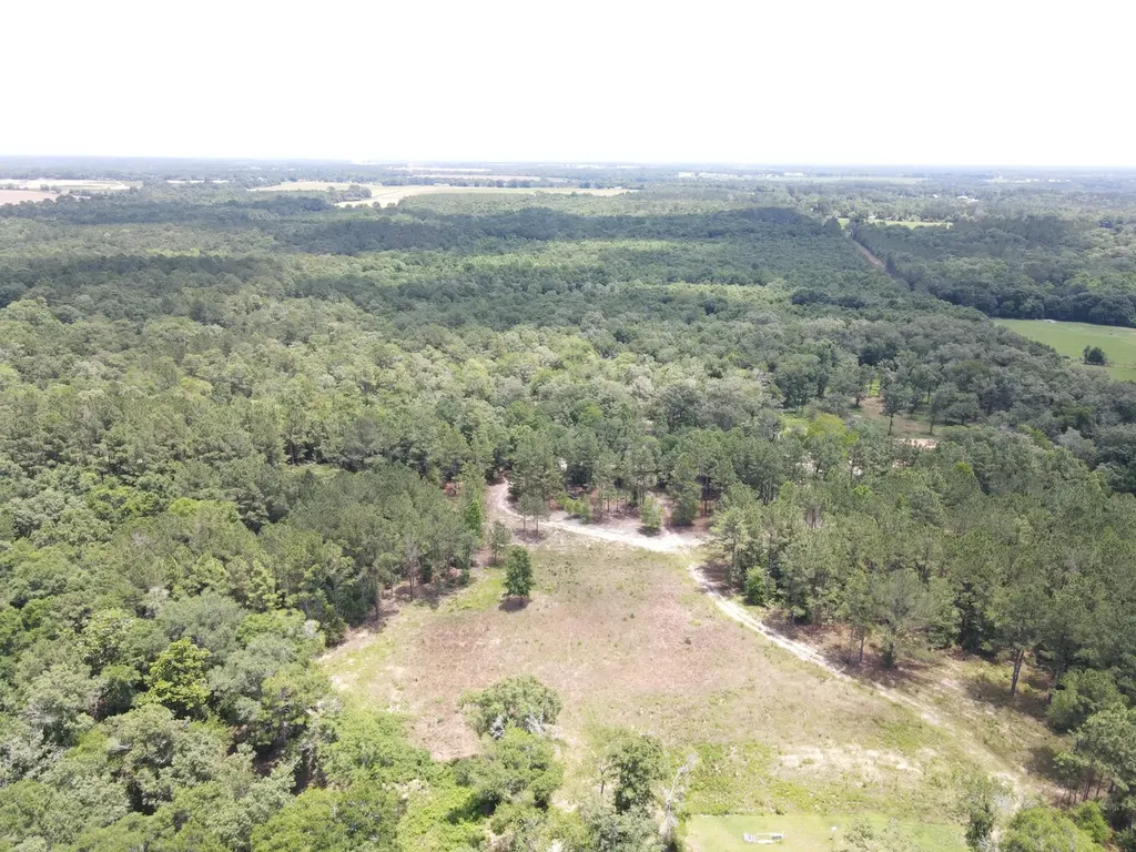 0 Corbin Road Newton AL 36352