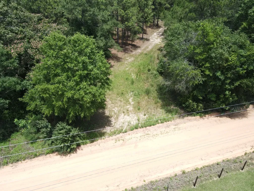 0 Corbin Road Newton AL 36352