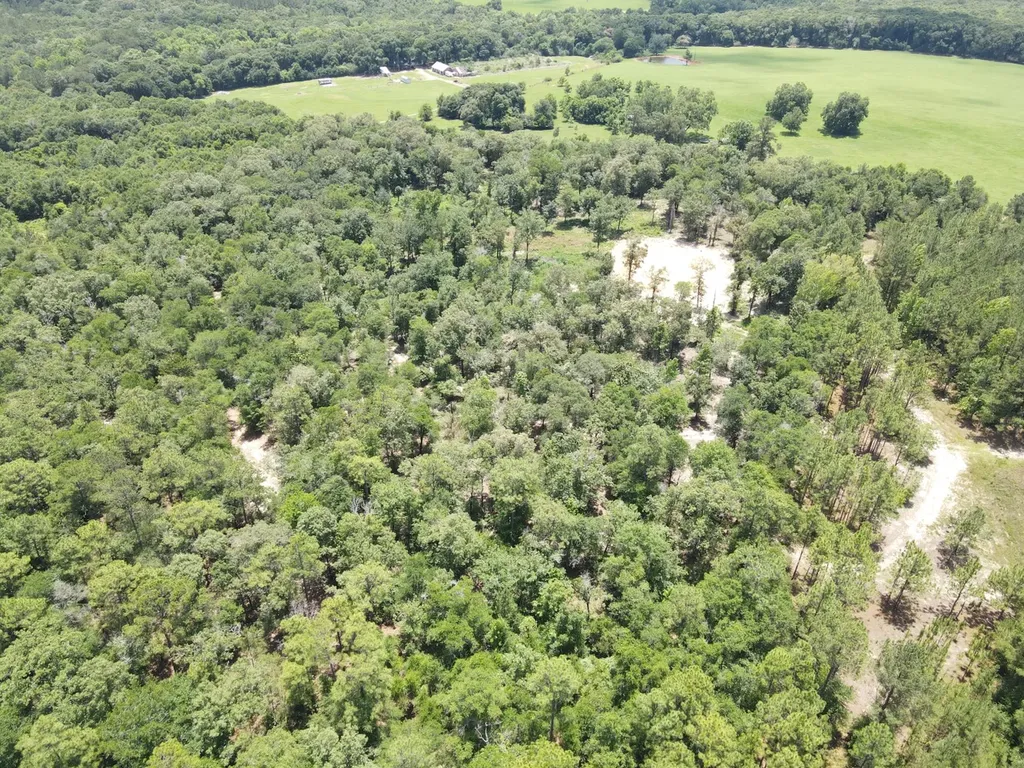 0 Corbin Road Newton AL 36352