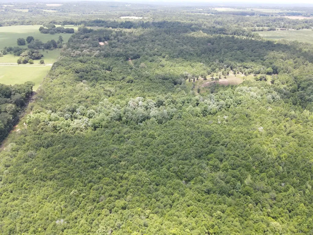 0 Corbin Road Newton AL 36352
