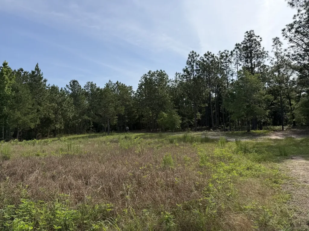 0 Corbin Road Newton AL 36352