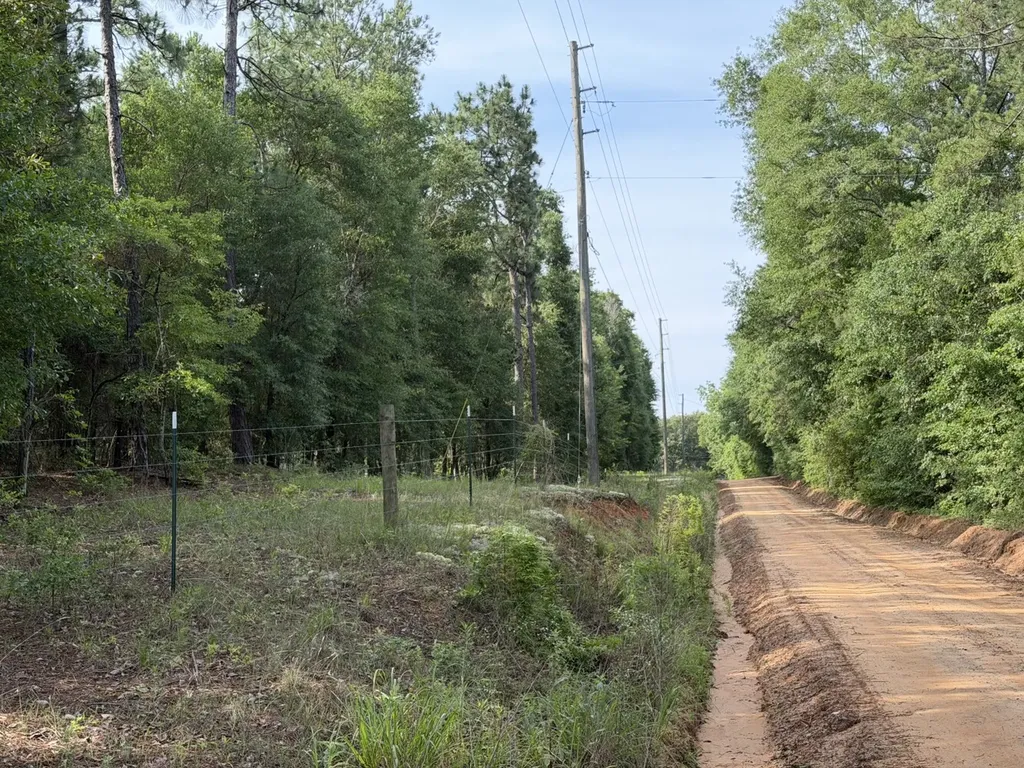 0 Corbin Road Newton AL 36352