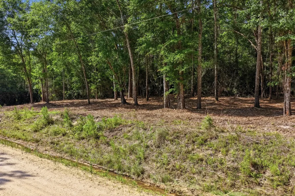 0 Crosby Clark Road Opp AL 36467