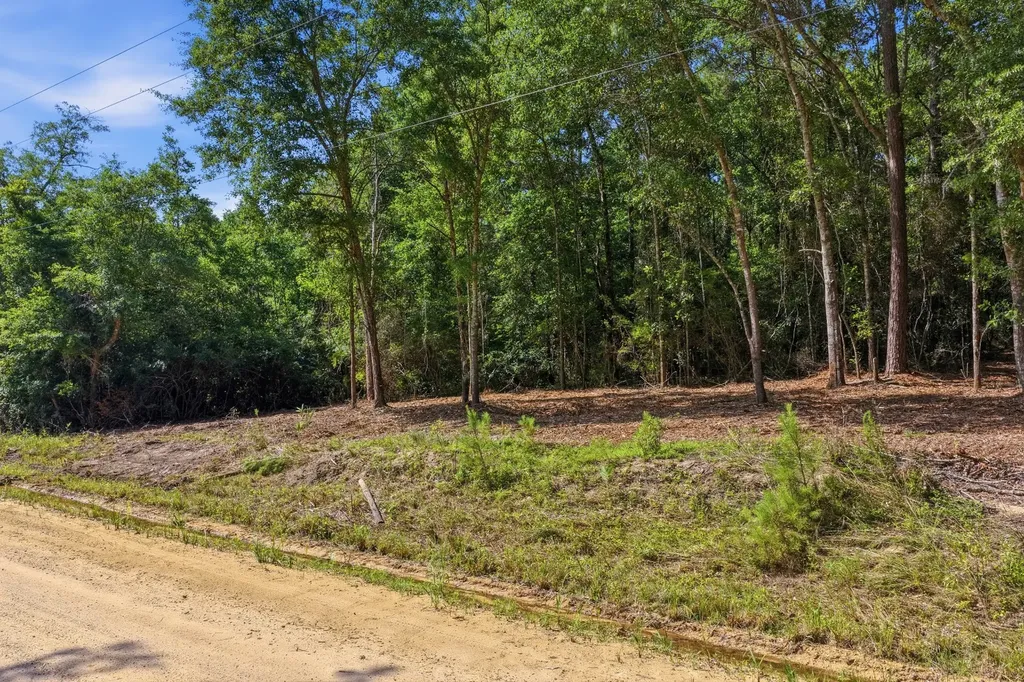 0 Crosby Clark Road Opp AL 36467