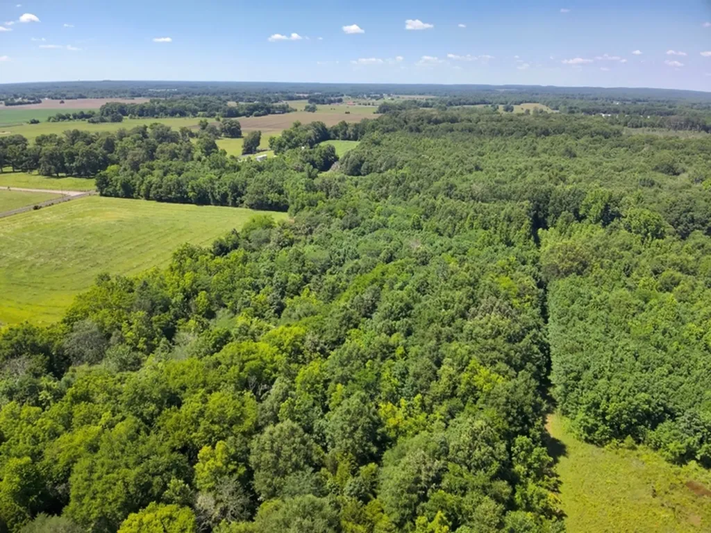 0 Lee James Road Danville AL 35619