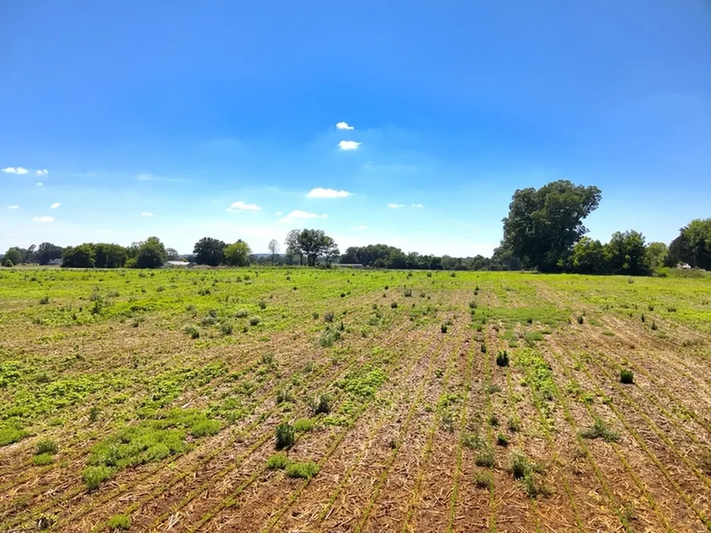 0 Lee James Road Danville AL 35619
